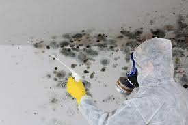 Best HVAC Mold Inspection and Cleaning  in Lewisville, WA